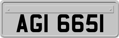 AGI6651