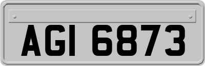 AGI6873