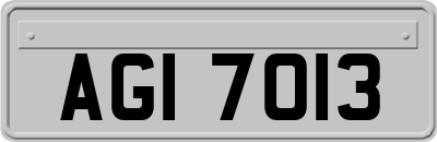 AGI7013