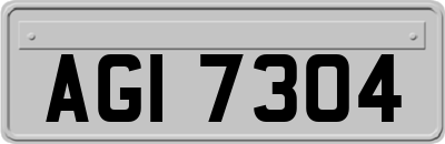 AGI7304