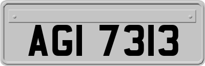 AGI7313