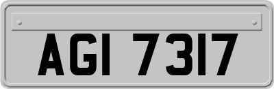 AGI7317
