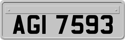 AGI7593