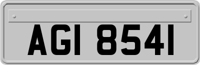 AGI8541