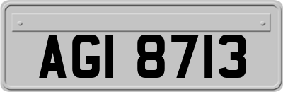AGI8713