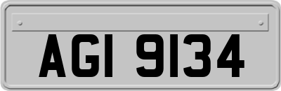 AGI9134