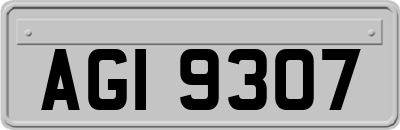 AGI9307