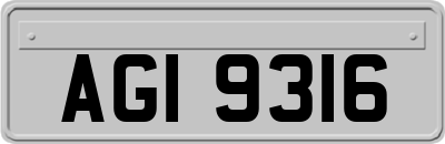 AGI9316