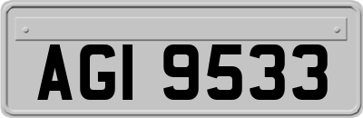 AGI9533