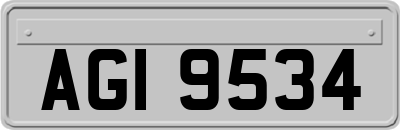 AGI9534