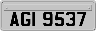 AGI9537