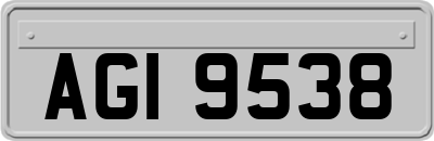 AGI9538