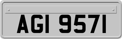 AGI9571