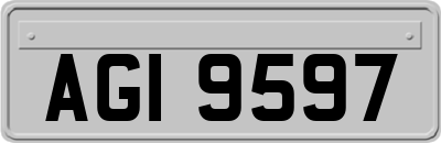 AGI9597