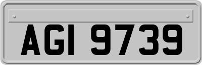 AGI9739