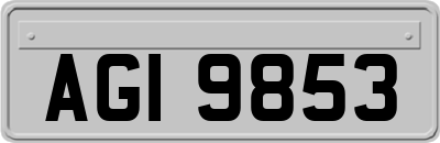AGI9853