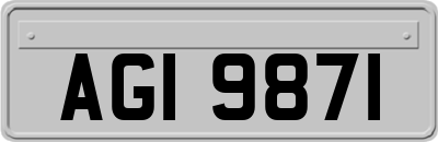 AGI9871