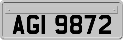 AGI9872