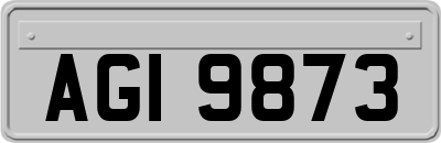 AGI9873