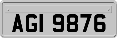 AGI9876