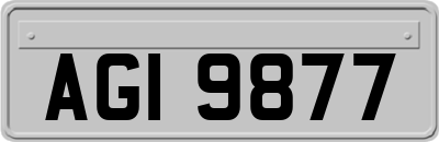 AGI9877