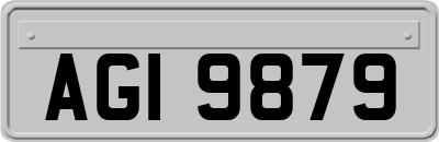 AGI9879