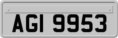 AGI9953