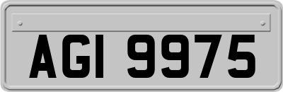 AGI9975