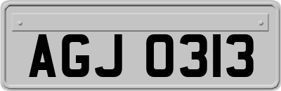 AGJ0313