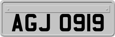 AGJ0919