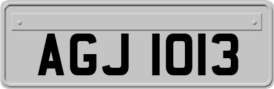 AGJ1013
