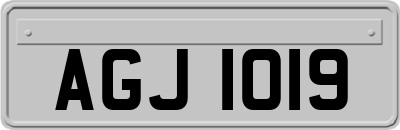 AGJ1019