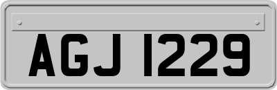 AGJ1229