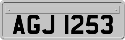 AGJ1253