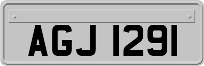 AGJ1291