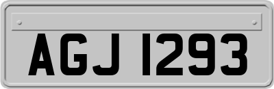 AGJ1293