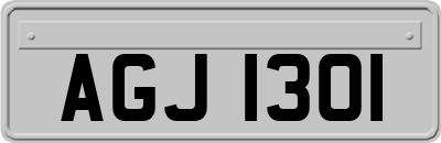 AGJ1301