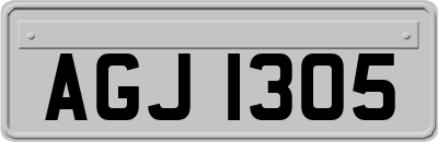 AGJ1305
