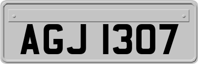 AGJ1307