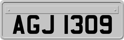 AGJ1309