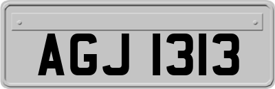 AGJ1313