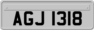 AGJ1318