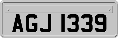 AGJ1339