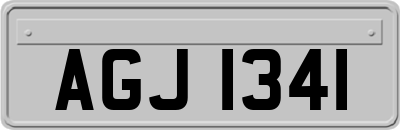 AGJ1341