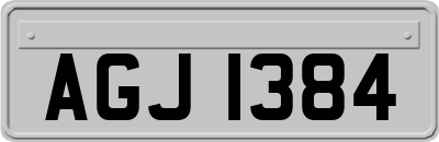 AGJ1384