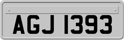 AGJ1393