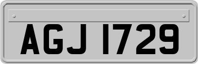AGJ1729