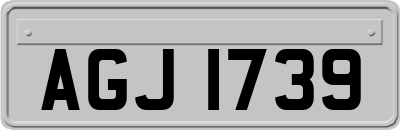 AGJ1739