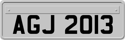 AGJ2013