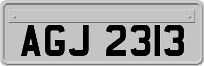 AGJ2313